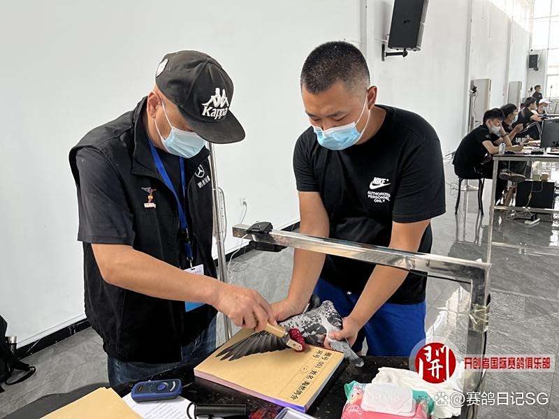 关于云贵雄鲨队守住胜果东城山猫队，击剑大奖赛上演裁判判罚引热议！技战术储备厚实的信息