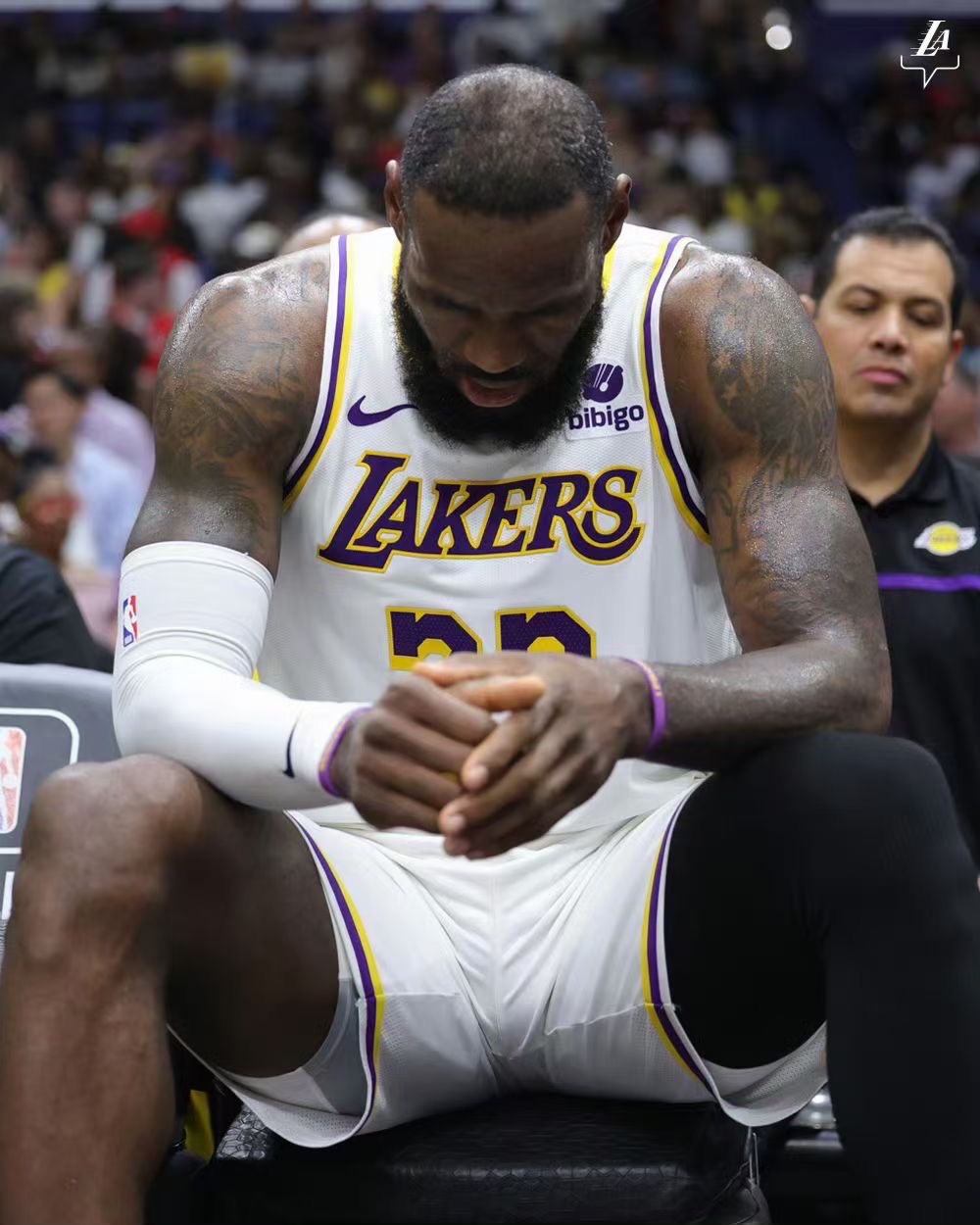 关于詹姆斯迎来二十赛季高光表现，FPX球迷沸腾！的信息